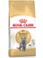British Shorthair Yetişkin Kedi Maması 4 kg 1