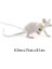 Mouse Desk Lamps Seletti Morden LED Bedside Table Lamp For Home Bedroom Decoration Art Deco Rat Night Lights Eu/au/us/uk Plug(Lying White) (Yurt Dışından) 1