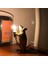 Seletti Morden Fare Masası Lambaları LED Başucu Masa Lambası Ev Yatak Odası Için Dekorasyon Art Deco Sıçan Gece Işıkları Ab / Au / Abd / Ingıltere Fiş (Siyah) (Yurt Dışından) 3