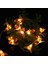 Bee Solar Led, Solar Powered Bee Shape String LED Lights Outdoor Courtyard Waterproof Decorative Lamp(5m) (Yurt Dışından) 3