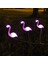Solar Garden Lights Outdoor, Toifucos 3pcs/ Set Flamingo Solar Lights Garden Pink Flamingo Solar Yard Lights Waterproof LED Light Lawn Lamp (Yurt Dışından) 2