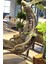Ratsa Home Capri Swing Bodrum Salıncak 4