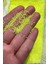 Neon Sarı Miyuki Delica DB-2031 Boncuk - Kutu NO:243 - 11/0 - 7,5 gr 2