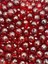 16MM Bordo Renk Akrilik Dünya Model Boncuk ,disko Topu Hobi Takı Boncuğu ( 100GR,~45ADET) 3