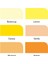 Winsor Newton Promarker 6'lı Yellow Tones 3
