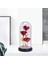 LED Işık Hediyeler ile Cam Kubbe Içinde Güzellik ve Canavar Gül Çiçek Kız Kırmızı Gül(Yurt Dışından) 2