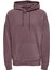 Erkek Kapüşonlu Sweatshirt Hoodie 22020931 3