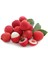 Liçi (Lychee, Litchi) Fidanı 10-15 CM 3