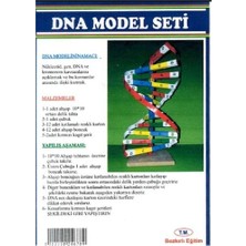 Bozkırlı Bozkırlı Dna Model Seti