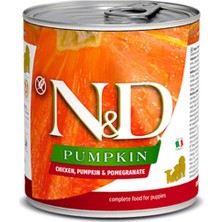 N&D Nd Pumpkin Tavuklu Yavru Köpek Konservesi 285 gr