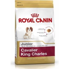 Royal Canin Cavalier King Charles Puppy Yavru Köpek Maması 1,5 kg