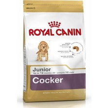 Royal Canin Cocker Puppy Yavru Köpek Maması 3 kg