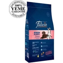 Felicia High Premium Düşük Tahıllı Kuzu Etli Büyük Irk Yavru Köpek Maması 3 kg