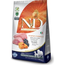 N&d Pumpkin Tahılsız Kuzu Etli Yaban Mersinli Orta ve Büyük Irk Yetişkin Köpek Maması 12 kg