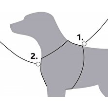 Trixie Köpek Premium Göğüs Tasması, xs:33-42cm/10MM, Kırmızı