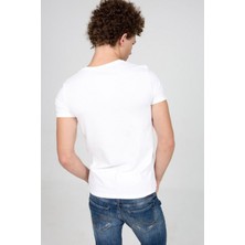 LTB Falgon T-Shirt
