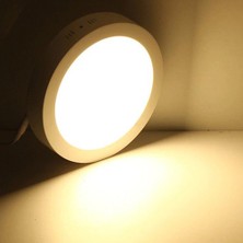 Cata 30 Watt Panel LED Armatür Sıva Üstü Yuvarlak Ct 5273 Günışığı Sarı Işık 3200K Plastik Kasa