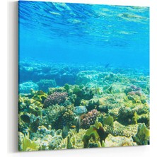 Olla 12935K Deniz / Okyanus Görseli Kare Kanvas Tablo