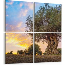 Olla 14373K4 Doğa / Manzara Görseli Kare 4'lü Kanvas Tablo