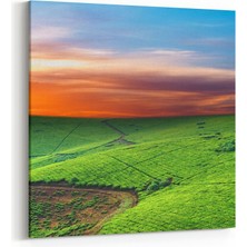 Olla 15905K Günbatımı Görseli Kare Kanvas Tablo
