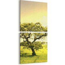 Olla 13888K2D Doğa / Manzara Görseli Kare 2'li Dikey Kanvas Tablo