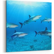 Olla 12870K Deniz / Okyanus Görseli Kare Kanvas Tablo