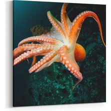 Olla 12963K Deniz / Okyanus Görseli Kare Kanvas Tablo