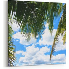 Olla 11492K Palmiye Ağacı Görseli Kare Kanvas Tablo