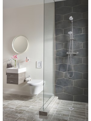 Grohe Essentials Tuvalet Kağıtlığı 40367001