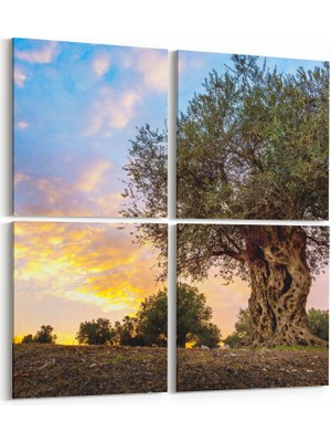 Olla 14373K4 Doğa / Manzara Görseli Kare 4'lü Kanvas Tablo