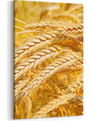 Olla 15127D Gıda Görseli Dikey Kanvas Tablo
