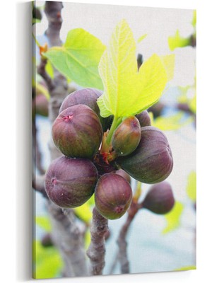 Olla 15265D Gıda Görseli Dikey Kanvas Tablo