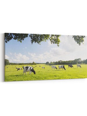 Olla 12564YD Hayvanlar Alemi Görseli Yatay Dar Kanvas Tablo