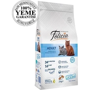 High Premium Somonlu Yetişkin Kedi Maması 2 kg