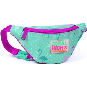 Coral High Kids Su Yeşili Flamingo Desenli Bel Çantası 22571