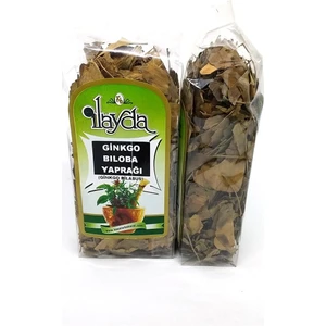 Ilayda Ginkgo Biloba Mabet Ağacı Yaprağı (Ginkgo Bilobus)