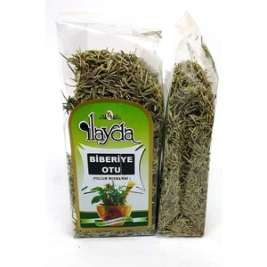 Ilayda Biberiye Otu (Rosmarinus Officinalis)