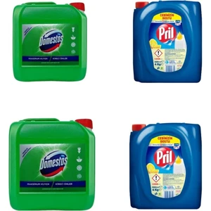 Sıvı Elde Bulaşık Yıkama Deterjanı Limon 2 x 4 kg + Domestos Çamaşır Suyu Çam Ferahlığı 2 x 3,5 kg