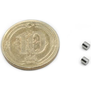 Mıknatıs Avm Ø2x2 mm Neodyum Sensör Mıknatısı - (2'li Paket)