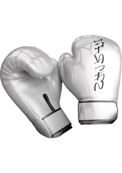 Boks Eldiveni Sparring Pu Deri Kickboks Delme Çanta Mitts 10OZ_WHITE