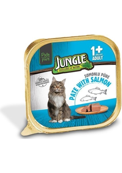 Balıklı Pate Yetişkin Kedi Konservesi 100 gr