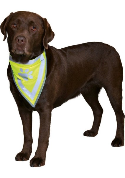 Köpek Bandanası L- xl 42-60 cm