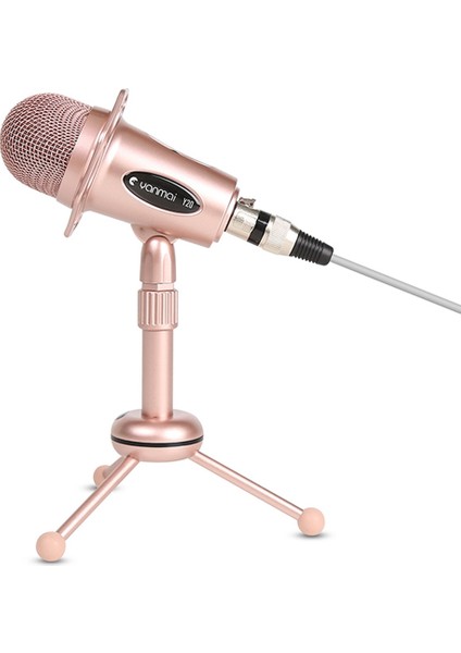 Yanmaı Y20 Profesyonel Tripod Tutucu Mikrofon (Yurt Dışından)