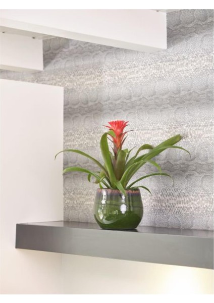 Charlotte Seramik Saksı 19 x 16 cm fiyatları