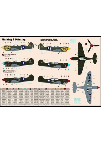 D-202 1/72 P-40E Aleutian Tiger