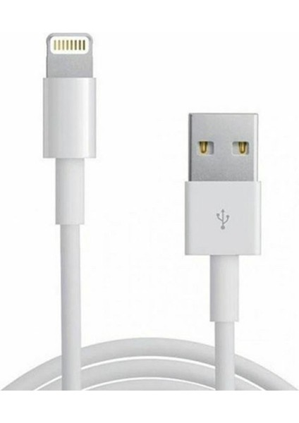 Apple iPhone Uyumlu 1 Metre Lightning USB Şarj Kablosu