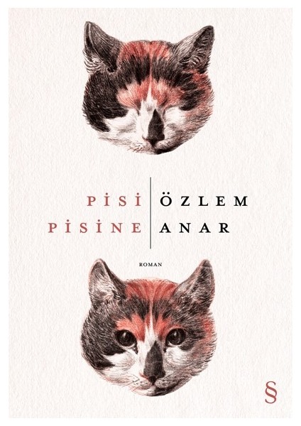 Pisi Pisine - Özlem Anar