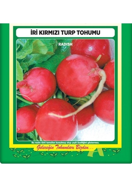 Kırmızı Turp Tohumu (10 Gr)