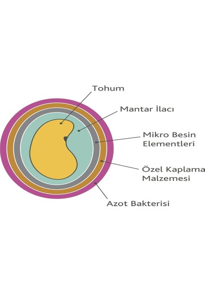 Osm Tohumculuk Osm Kaplamalı Elçi Yonca Tohumu (1-2-3-5-10 Kg)