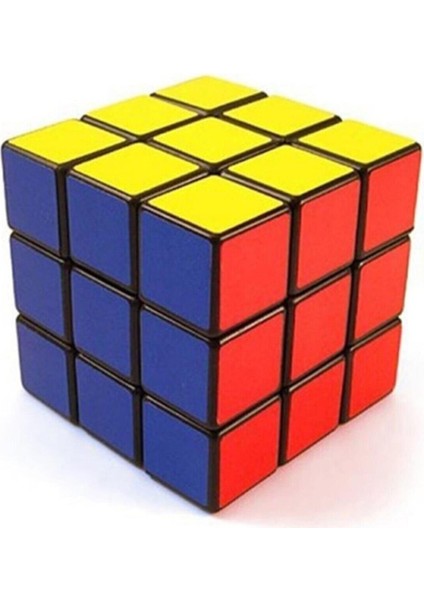 Akıl Küpü Eğitici Oyuncak Rubik Küpü Zeka Küpü Eğitici Oyuncak